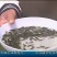 吉富罗非鱼苗8朝