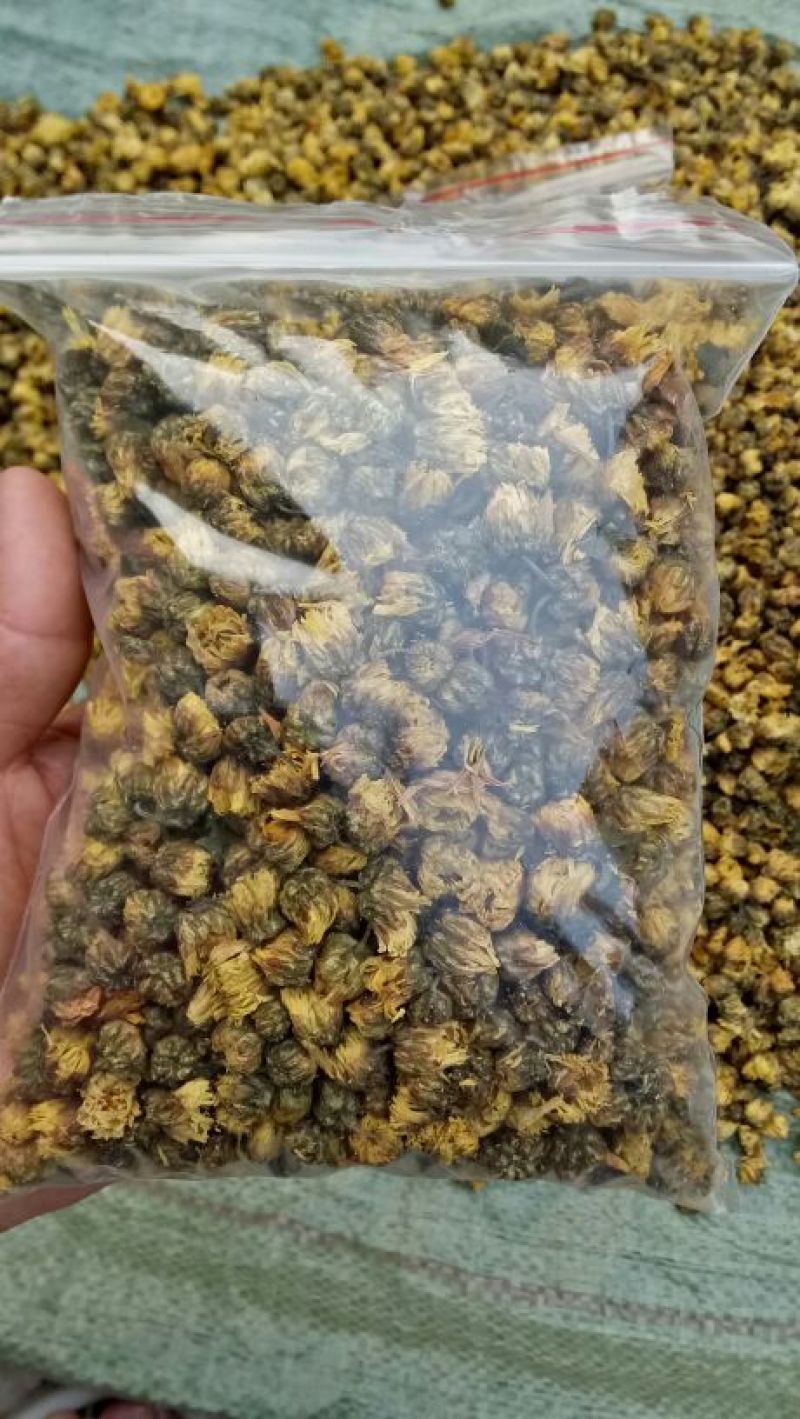 杭白菊袋装