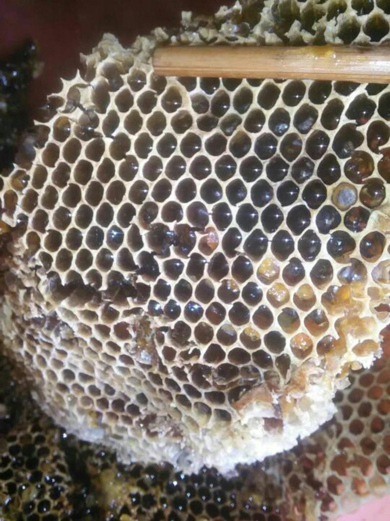 土蜂蜜