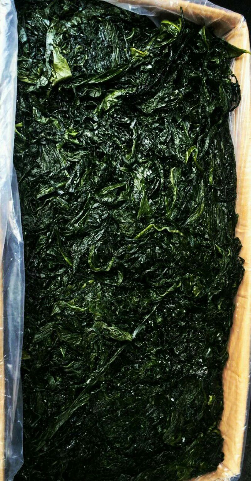 大连海带干