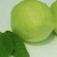 台湾番石榴70~80mm白心