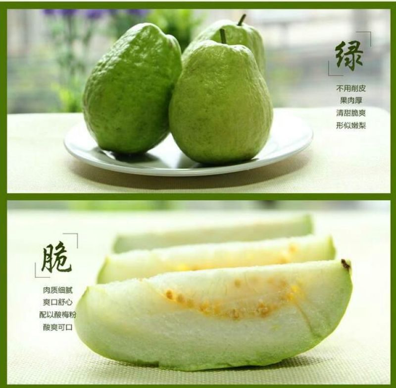 台湾番石榴70~80mm白心
