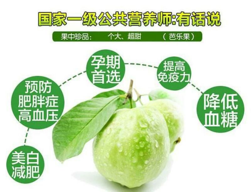 台湾番石榴70~80mm白心
