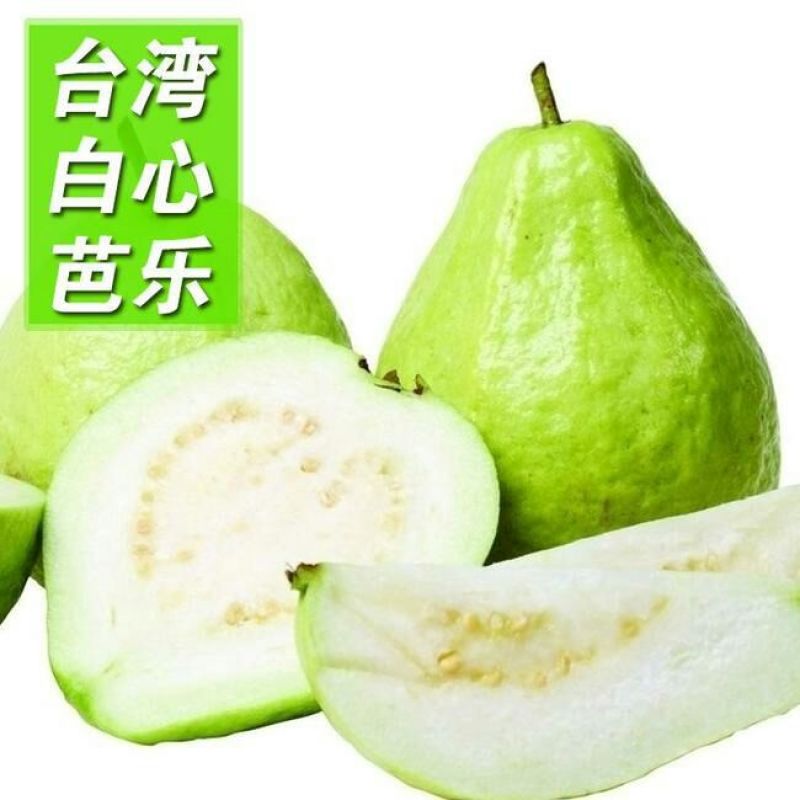 台湾番石榴70~80mm白心