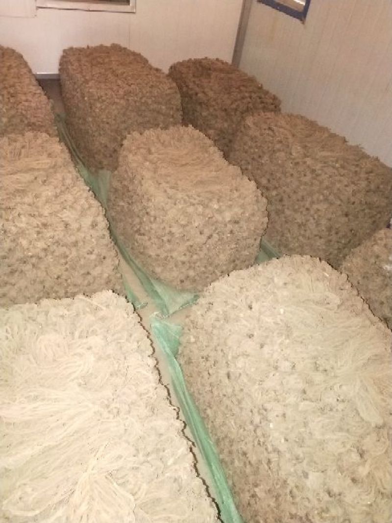 岷当归当归片，货真价实无硫货