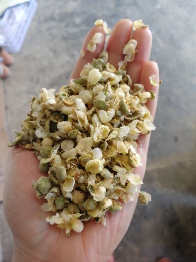 花粉