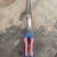 红薯苗15~25cm