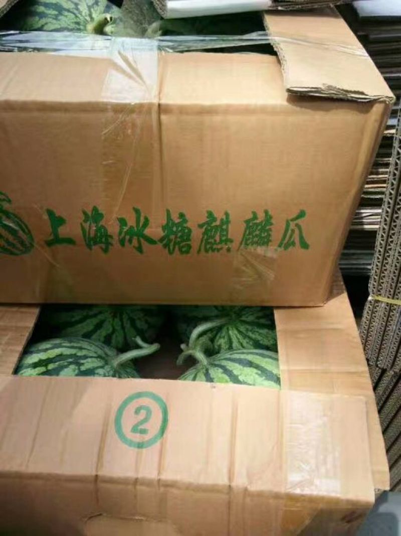 美都西瓜【西瓜】5斤打底9成熟皮薄多汁口感甘甜