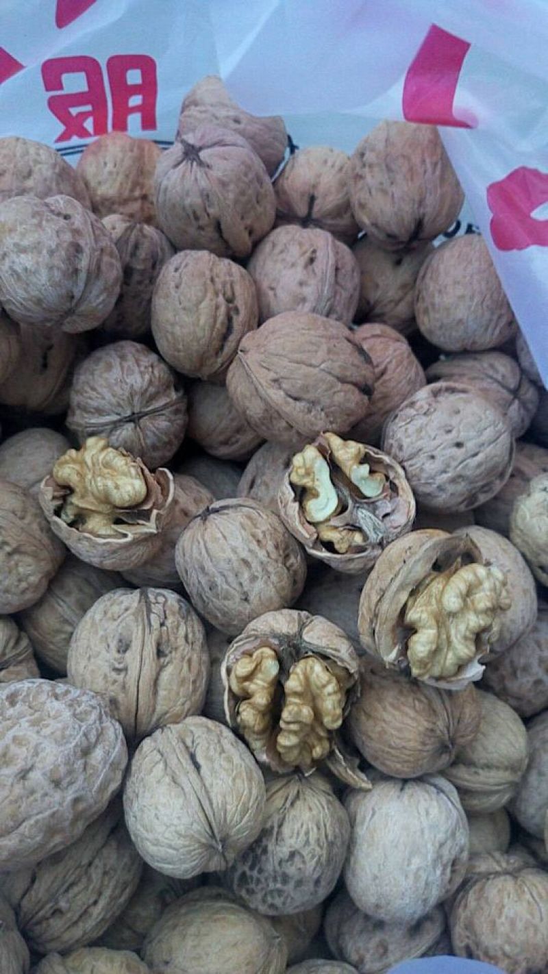 纸皮核桃去皮30~35mm干