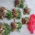 毛桃树苗桃芽，桃仁，小桃苗