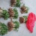 毛桃树苗桃芽，桃仁，小桃苗