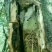 云南深山老林野生土蜂蜜量大从优