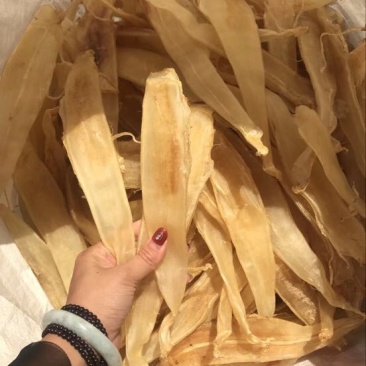 花胶金龙胶，鮸鱼胶，白敏胶等各类鱼胶