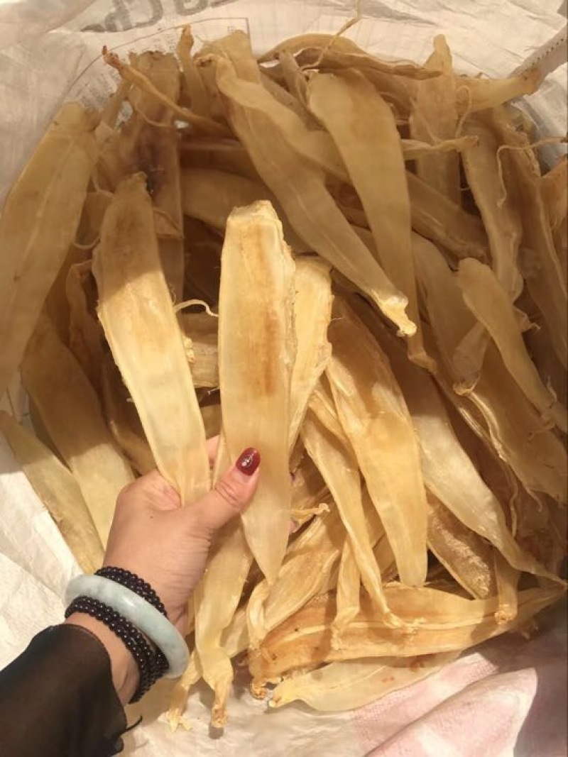 花胶金龙胶，鮸鱼胶，白敏胶等各类鱼胶