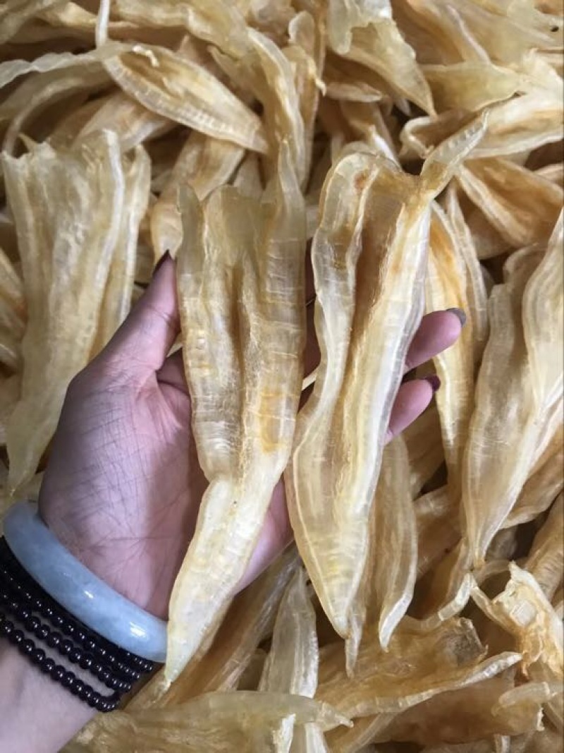 花胶金龙胶，鮸鱼胶，白敏胶等各类鱼胶