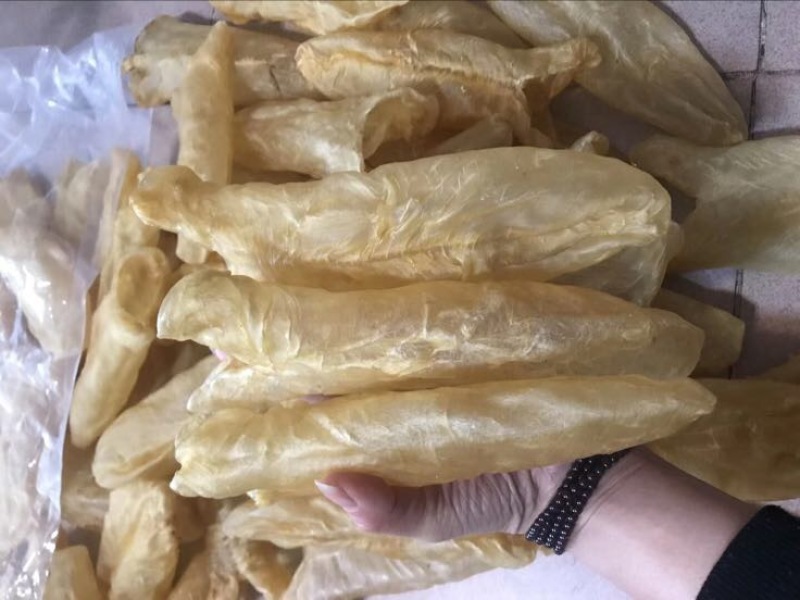 花胶金龙胶，鮸鱼胶，白敏胶等各类鱼胶