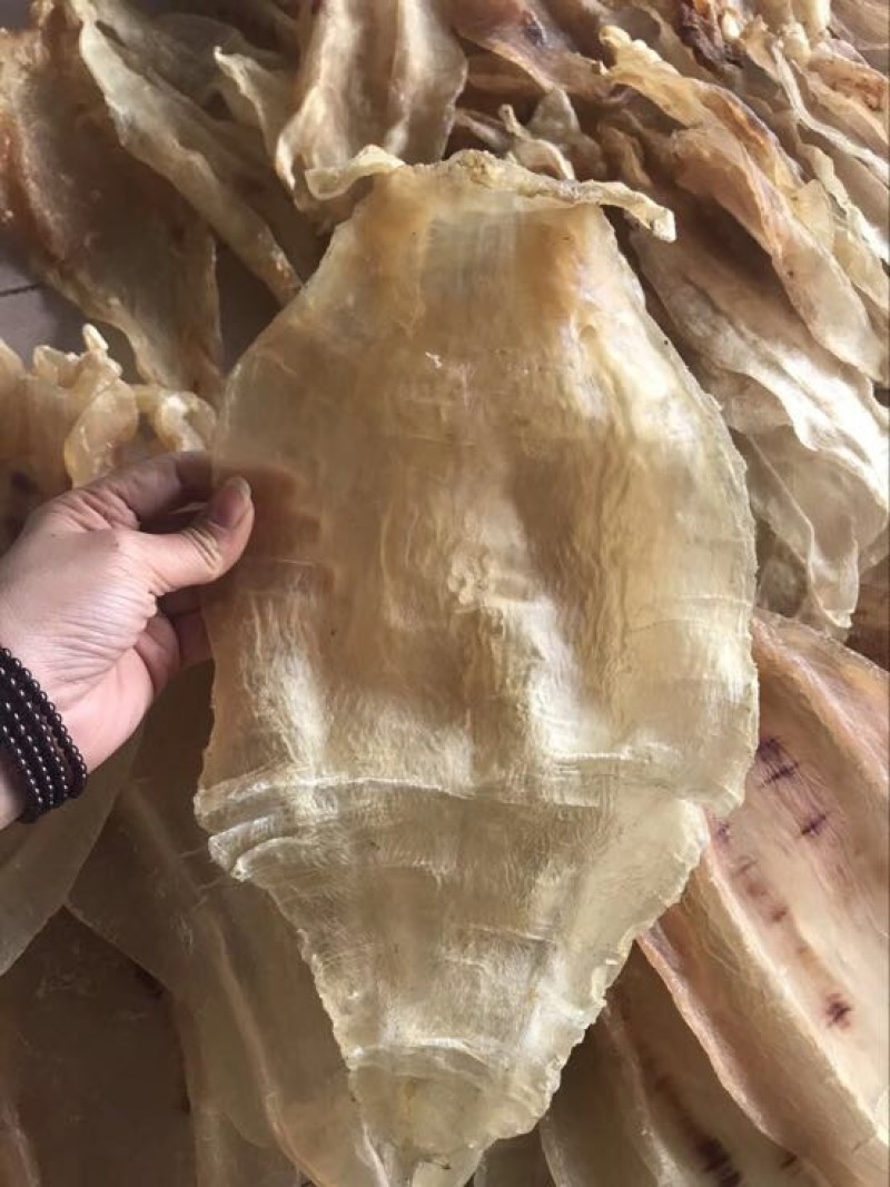 花胶金龙胶，鮸鱼胶，白敏胶等各类鱼胶