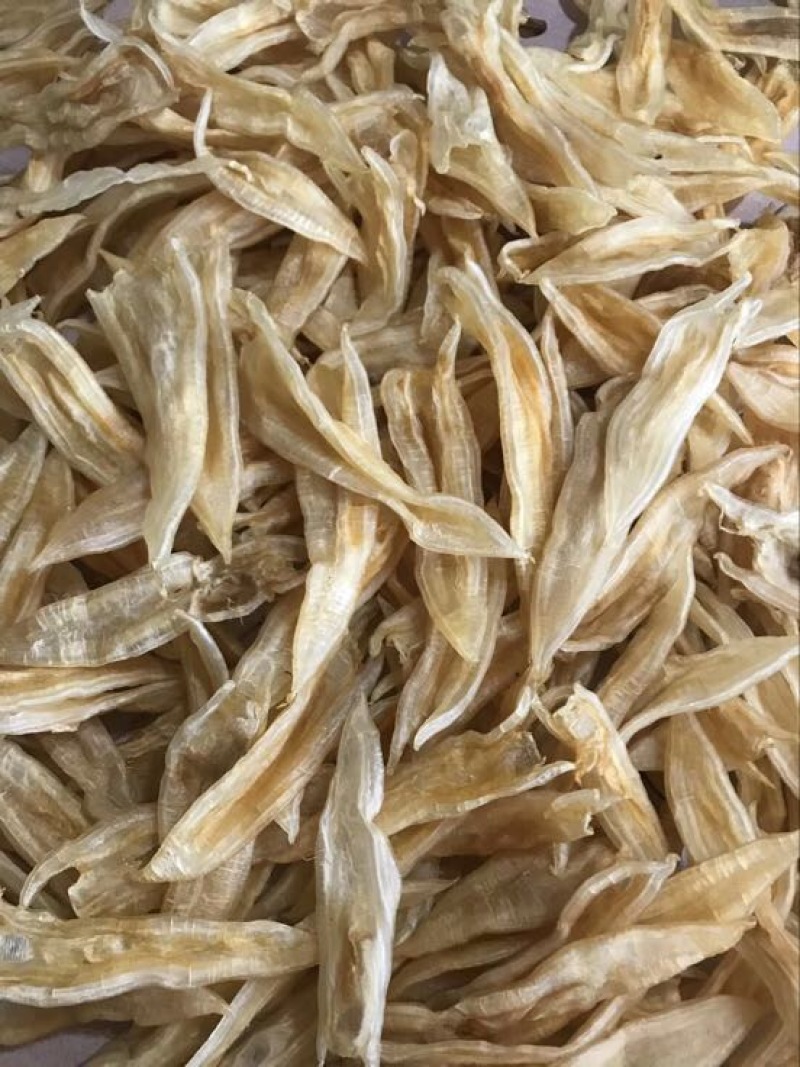 花胶金龙胶，鮸鱼胶，白敏胶等各类鱼胶