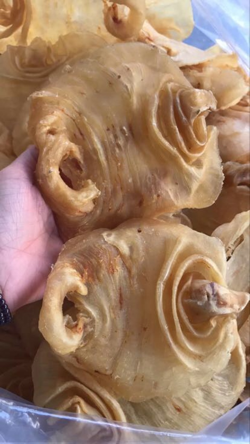 花胶金龙胶，鮸鱼胶，白敏胶等各类鱼胶