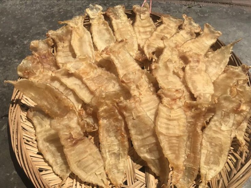 花胶金龙胶，鮸鱼胶，白敏胶等各类鱼胶