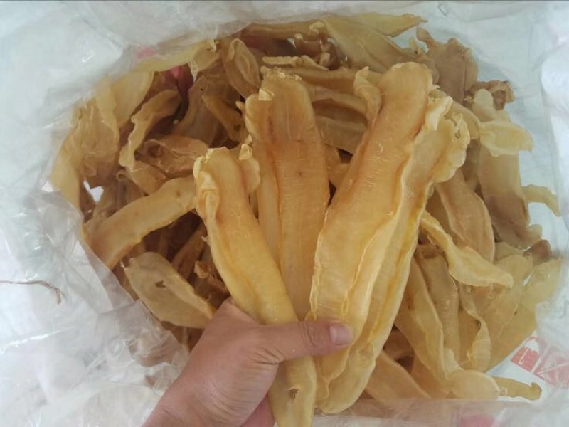 花胶金龙胶，鮸鱼胶，白敏胶等各类鱼胶