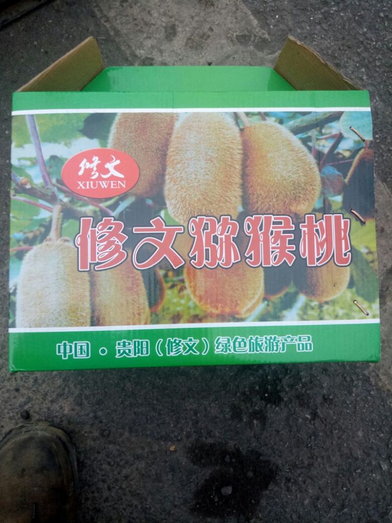 贵长猕猴桃50~70克