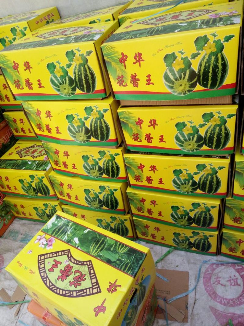 甜瓜，花蕾甜瓜己上市