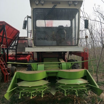 青储机新型专业皇竹草收割机玉米秸秆粉