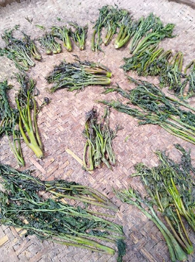 襄阳干香椿嫩芽2022年头茌香椿芽包邮野菜