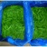 荷仁豆基地直发诚信合作欢迎新老客户前来选购