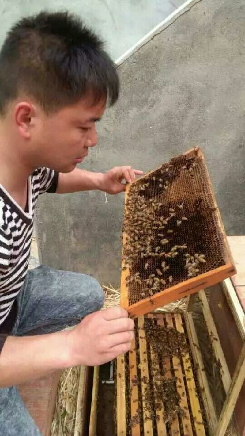 洋槐蜜2斤