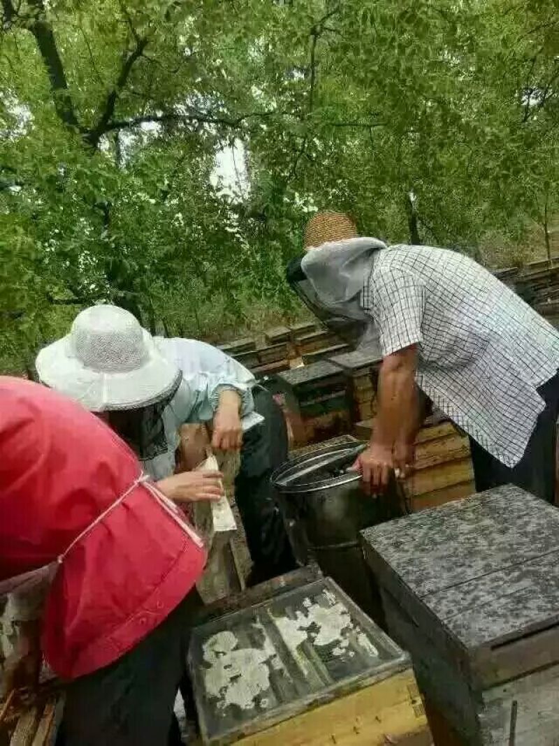洋槐蜜2斤