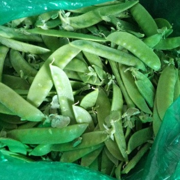 豌豆荚荷兰豆
