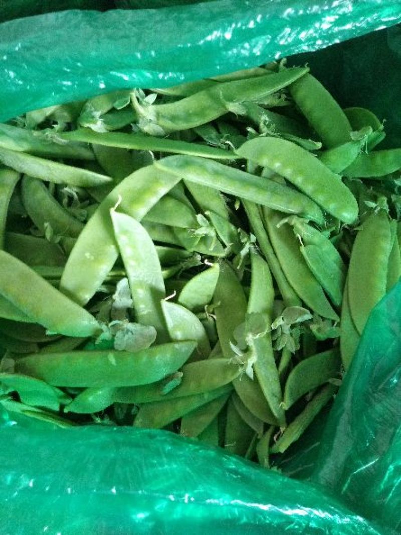 豌豆荚荷兰豆