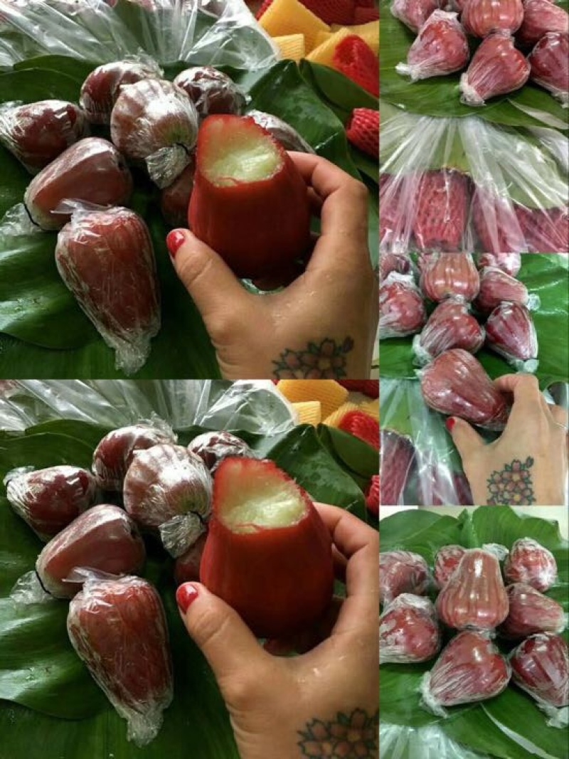 越南莲雾9~11厘米