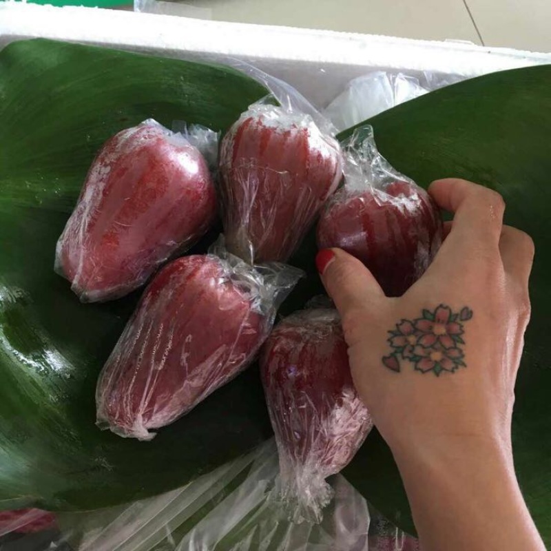 越南莲雾9~11厘米