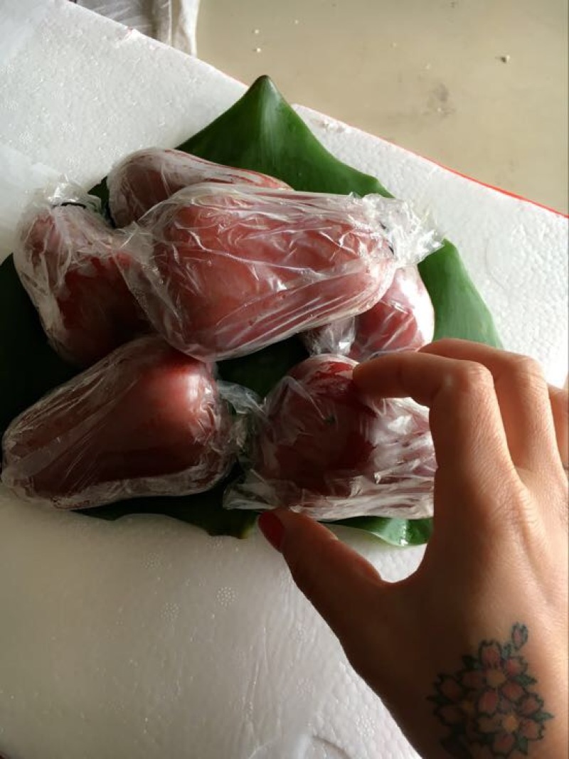 越南莲雾9~11厘米
