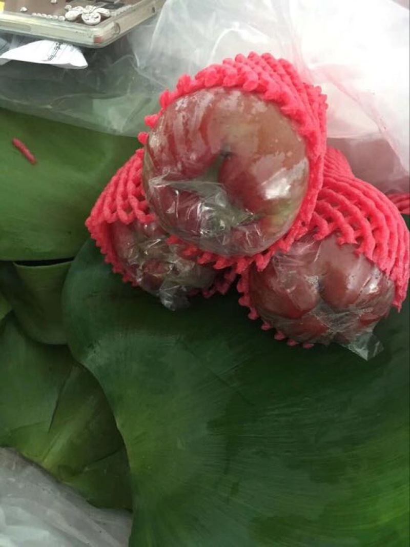 越南莲雾9~11厘米