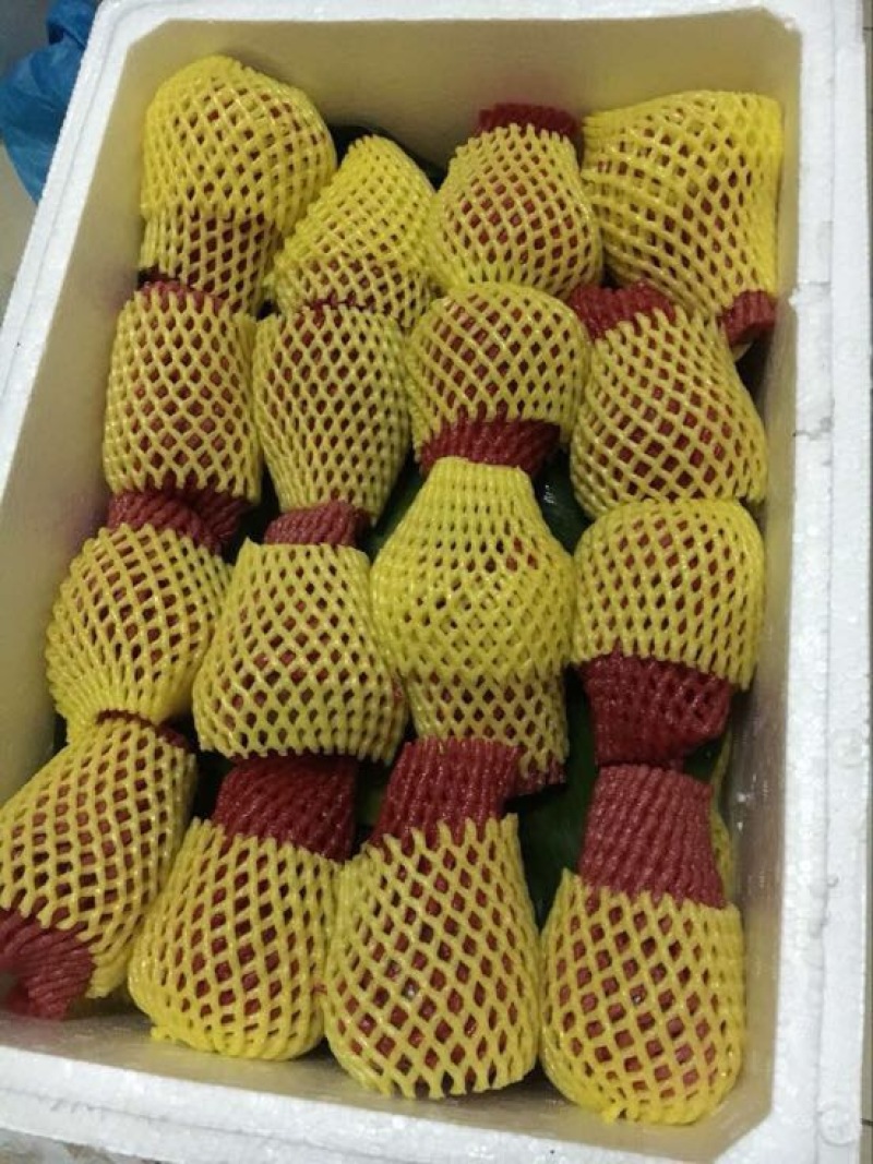 越南莲雾9~11厘米
