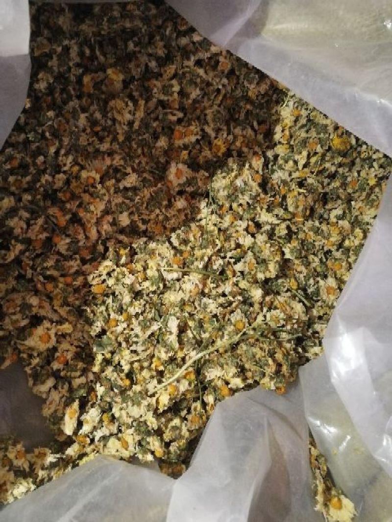 干菊花