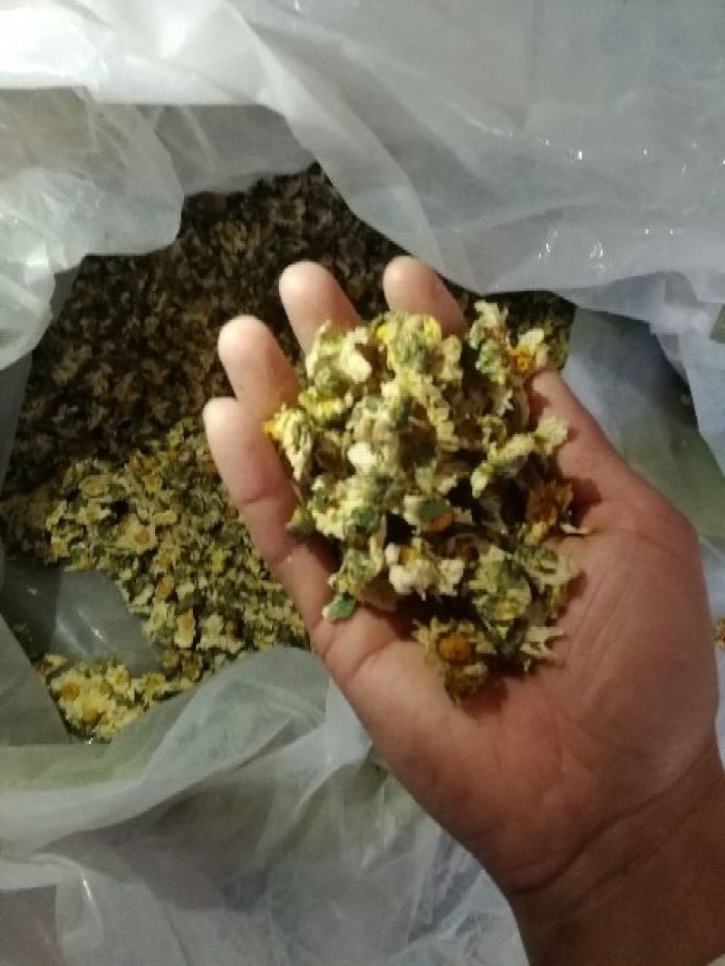 干菊花
