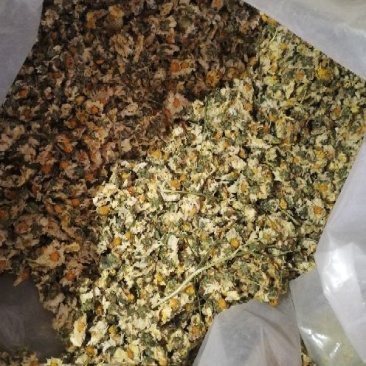 干菊花