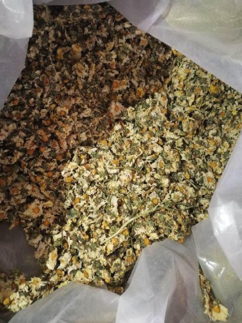 干菊花