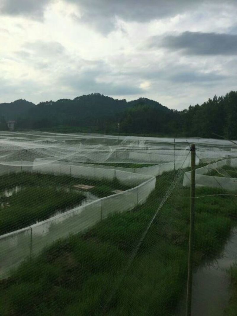江苏宿迁沭拉水产捕捞机械-渔网大量供应价格便宜
