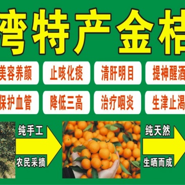 金桔金桔片