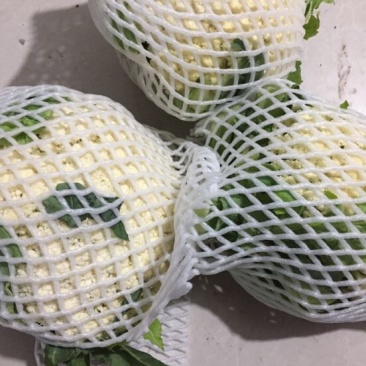白面青梗松花菜散花2~3斤米黄