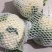 白面青梗松花菜散花2~3斤米黄