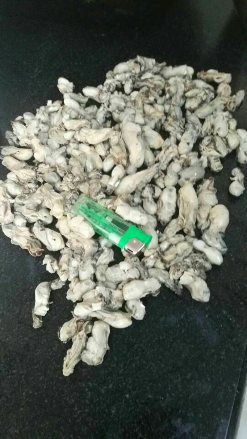 生蚝肉
