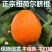 麻阳纽荷尔脐橙口感香甜无籽皮溥孕妇水果谢绝零售一千斤起