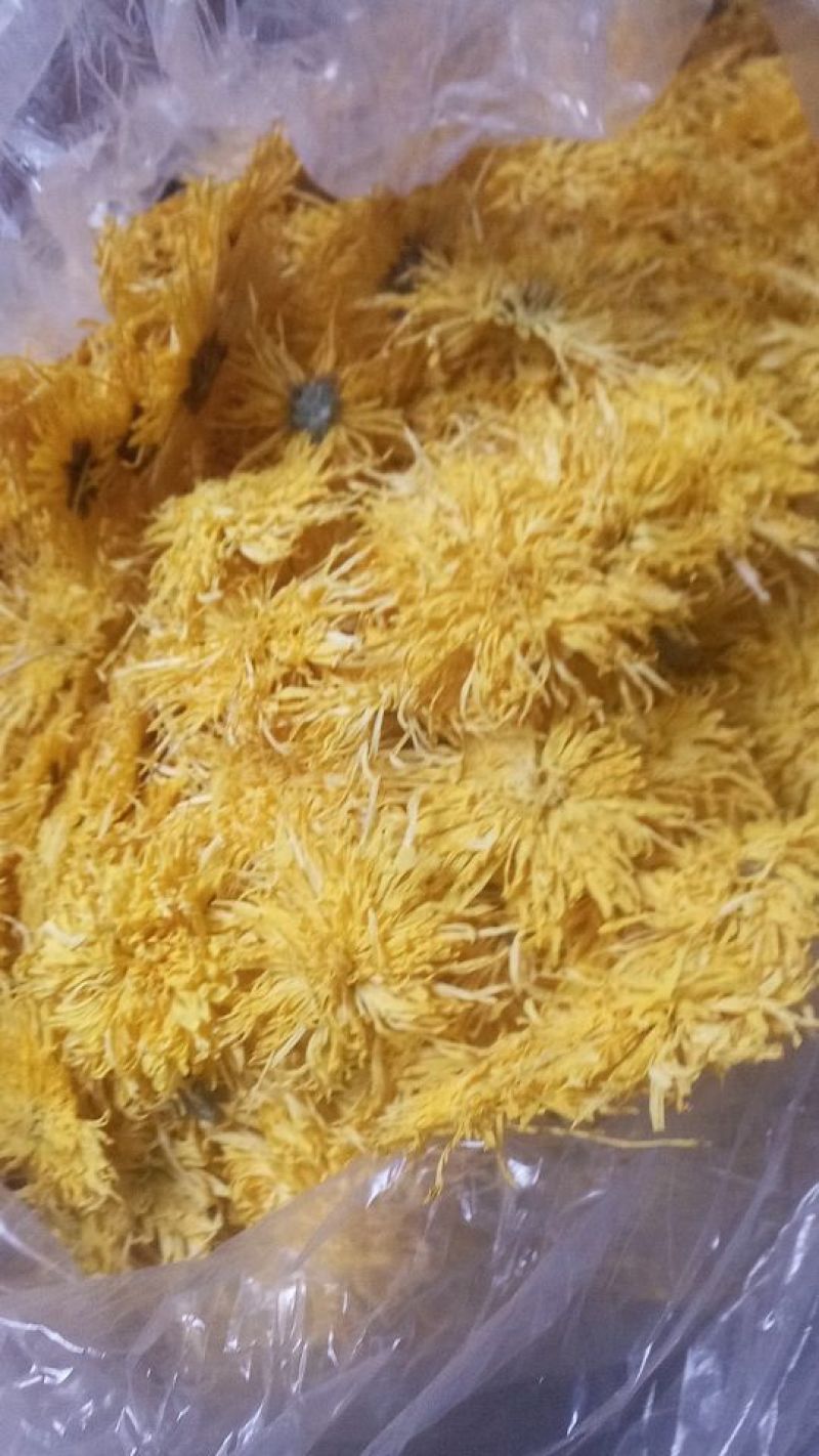 菊花茶特级